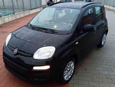 Fiat Panda 0.9 TwinAir Turbo Natural Power Easy usata