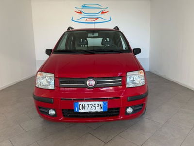 Fiat Panda 1.2 4x4 usata