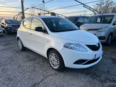 Lancia Ypsilon 1.2 69 CV 5 porte Silver usata