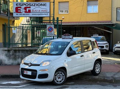 Fiat Panda 1.2 Easy Van 4 posti usata