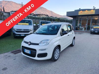 Fiat Panda 1.0 firefly hybrid s&s 70cv nuova