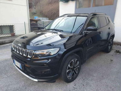 Jeep Compass 1.6 Multijet II 2WD Business usata