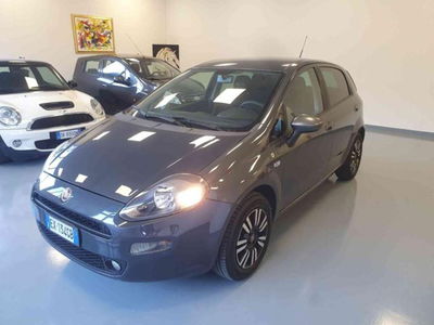 Fiat Punto 1.3 MJT II 75 CV 5 porte Young usata