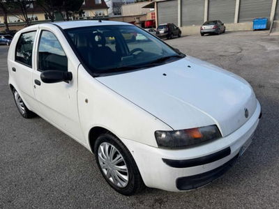 Fiat Punto 1.2i 16V cat 5 porte HLX usata