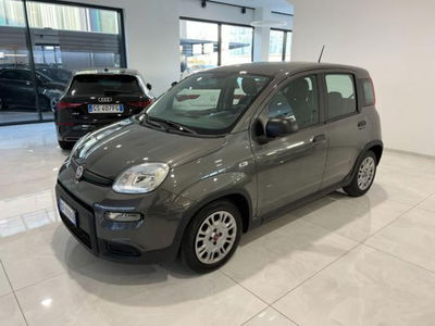 Fiat Panda 1.0 firefly hybrid s&s 70cv 5p.ti usata