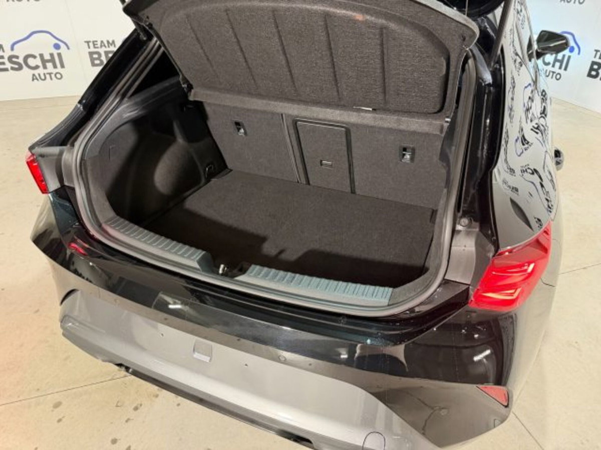 Cupra Leon Leon 2.0 tdi 150cv dsg (12)