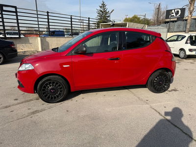 Lancia Ypsilon 1.2 69 CV 5 porte GPL Ecochic Elefantino Blu usata