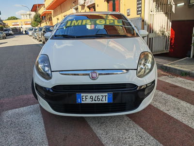 Fiat Punto Evo 1.4 5 porte Dynamic GPL usata