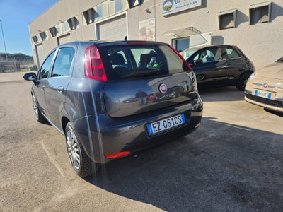 Fiat Punto 1.4 8V 5 porte Easypower Street (3)
