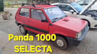 Fiat Panda 1000 Selecta usata