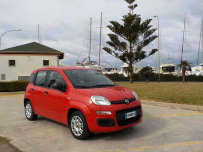 Fiat Panda 1.2 Easy usata