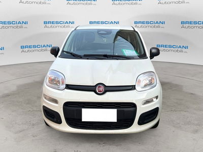 Fiat Panda 1.0 firefly hybrid Icon s&s 70cv nuova