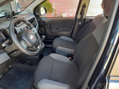 Fiat Panda 1.0 firefly hybrid Pop s&s 70cv (8)