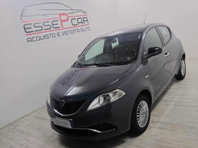 Lancia Ypsilon 1.2 69 CV 5 porte Gold usata