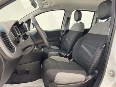 Fiat Panda 1.0 firefly hybrid s&s 70cv 5p.ti (11)