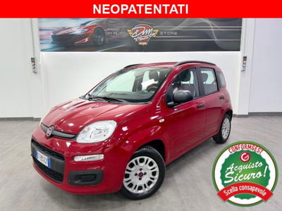Fiat Panda 1.2 Lounge usata