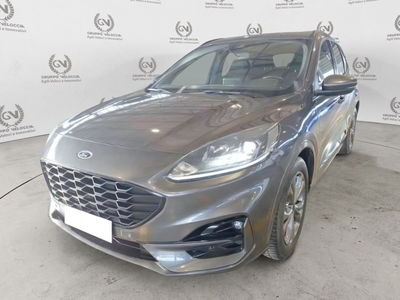 Ford Kuga 1.5 EcoBlue 120 CV 2WD ST-Line usata