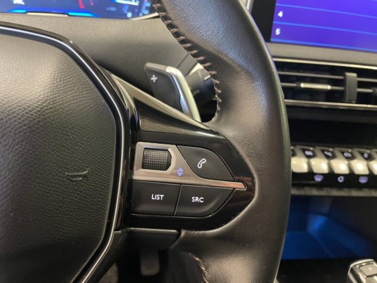 Peugeot 3008 BlueHDi 130 S&S EAT8 Active Business (18)