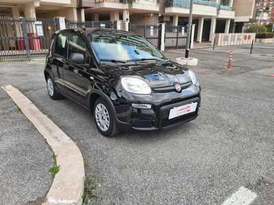Fiat Panda 1.0 FireFly S&S Hybrid City Life usata