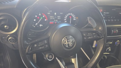 Alfa Romeo Stelvio Stelvio 2.2 Turbodiesel 210 CV AT8 Q4 Veloce Tì (16)