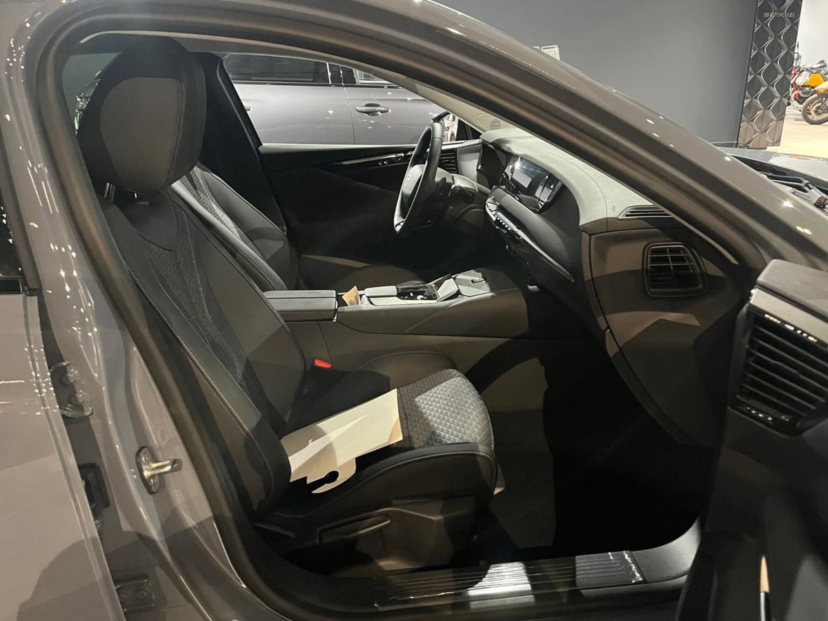 Ds DS 4 1.5 bluehdi Pallas 130cv auto (15)