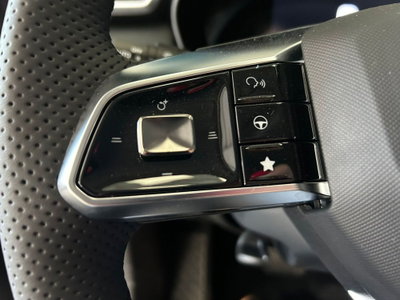 Mg ZS 1.5 hybrid+ Luxury auto (20)