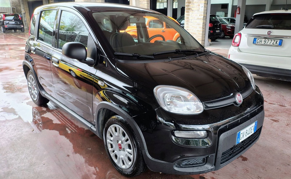 Fiat Panda Cross Cross 1.0 FireFly S&S Hybrid (2)