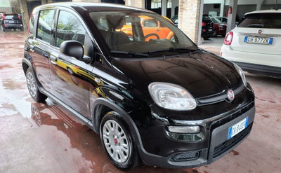 Fiat Panda Cross Cross 1.0 FireFly S&S Hybrid (2)