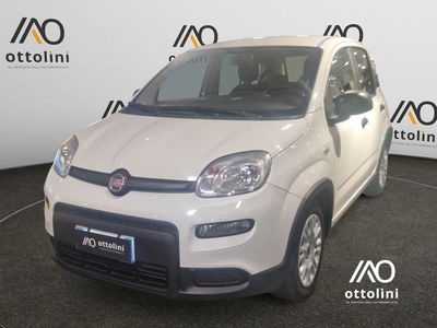 Fiat Panda Cross Cross 1.0 FireFly S&S Hybrid usata