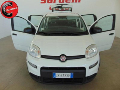 Fiat Panda 1.0 firefly hybrid s&s 70cv 5p.ti (2)