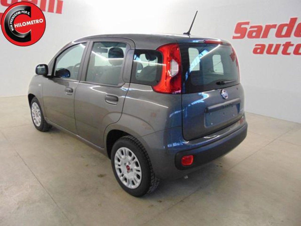 Fiat Panda 1.0 firefly hybrid s&s 70cv 5p.ti (11)