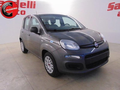 Fiat Panda 1.0 firefly hybrid s&s 70cv 5p.ti (2)