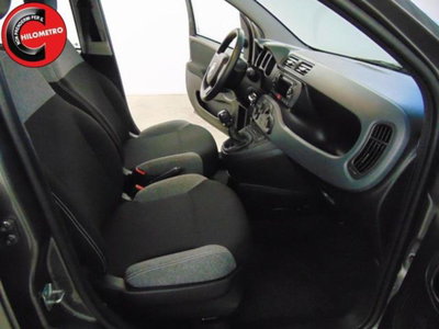 Fiat Panda 1.0 firefly hybrid s&s 70cv 5p.ti (8)