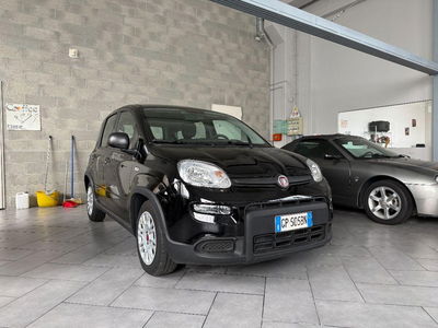Fiat Panda Cross Cross 1.0 FireFly S&S Hybrid usata
