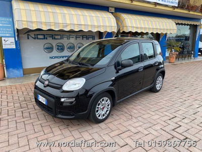 Fiat Panda 1.0 firefly hybrid s&s 70cv 5p.ti usata