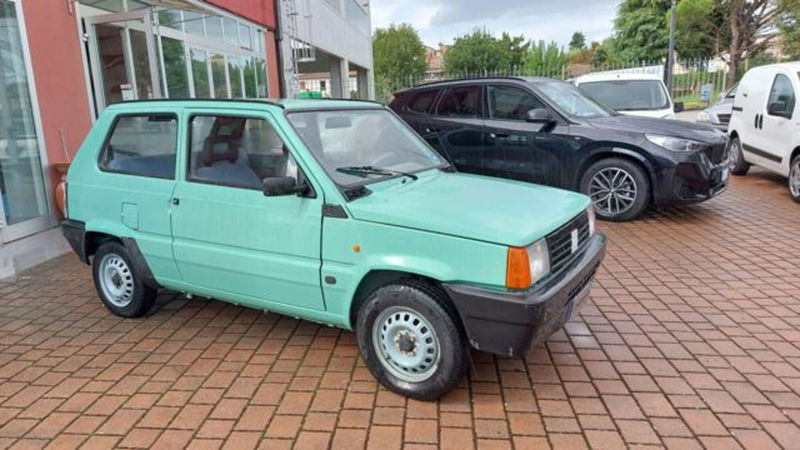 Fiat Panda 1100 i.e. cat Young