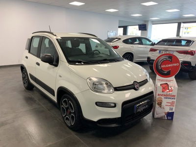 Fiat Panda 1.0 firefly hybrid s&s 70cv 5p.ti usata