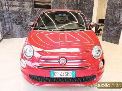 Fiat 500 1.0 Hybrid Red usata