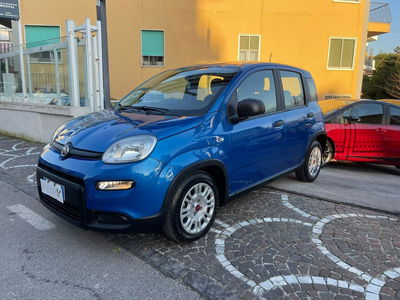 Fiat Panda 1.0 FireFly S&S Hybrid usata
