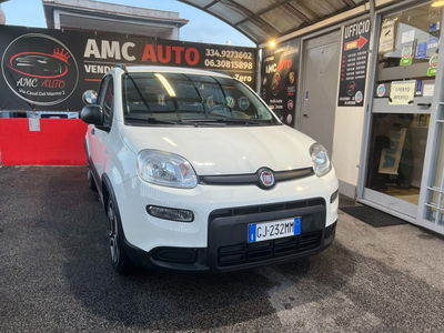 Fiat Panda 1.0 FireFly S&S Hybrid City Life usata