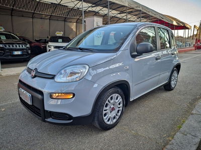 Fiat Panda Cross Cross 1.0 FireFly S&S Hybrid usata