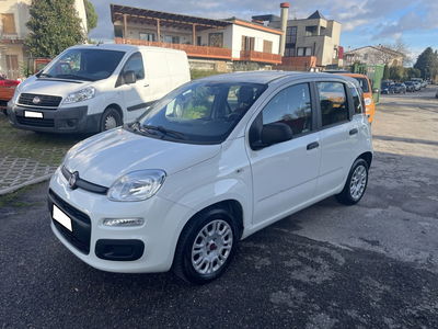 Fiat Panda 1.2 Pop usata