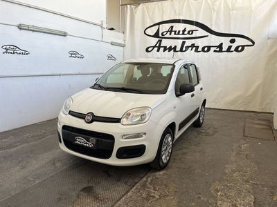 fiat panda 1.2 trussardi