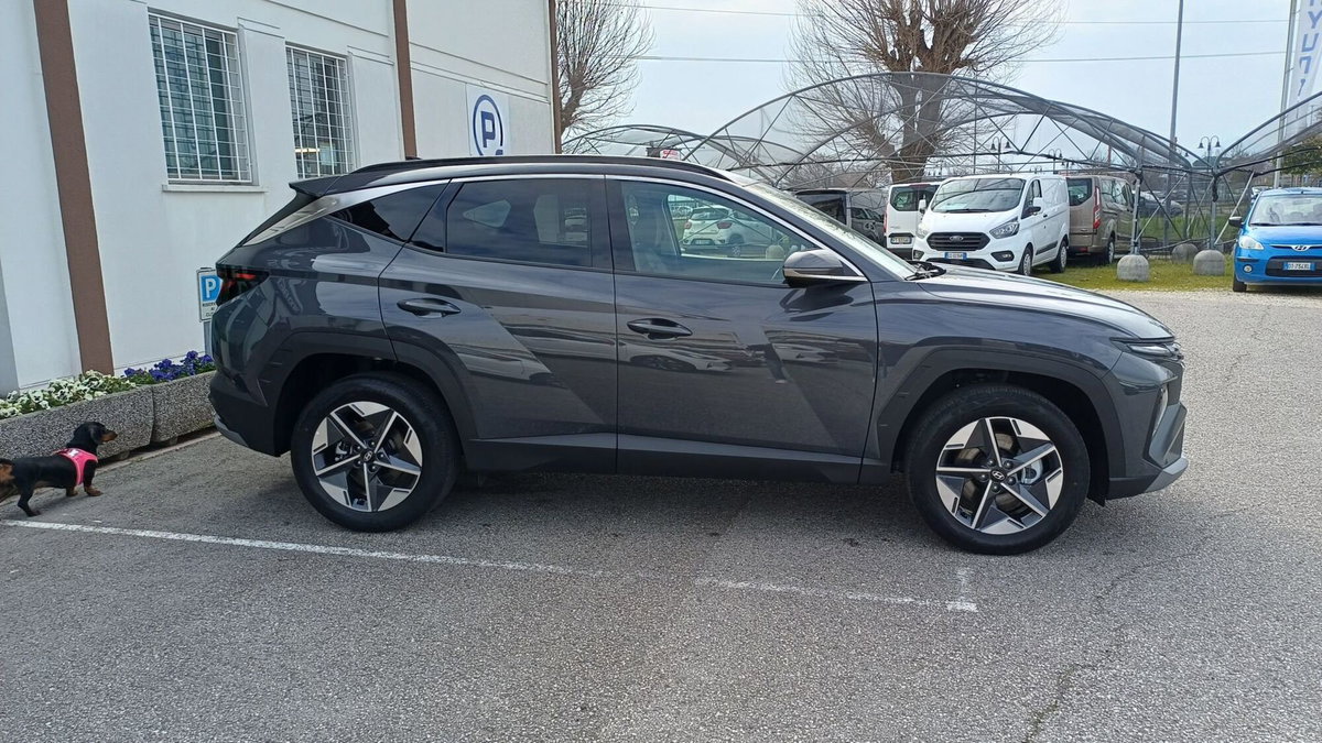 Hyundai Tucson 1.6 hev Business 4wd 239cv auto (6)
