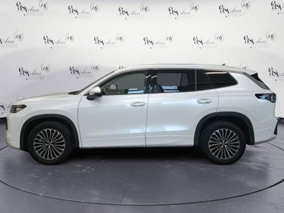 Volkswagen Tayron 2.0 tdi Life 150cv dsg 7p.ti (5)