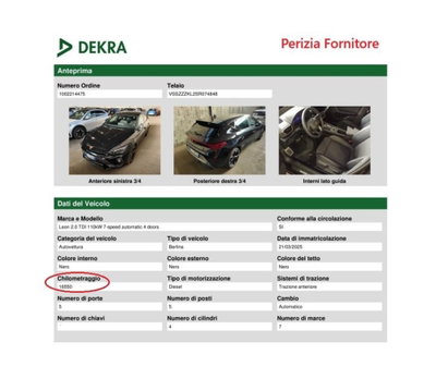 Cupra Leon Leon 2.0 tdi 150cv dsg (15)