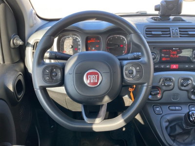 Fiat Panda Cross Cross 1.0 FireFly S&S Hybrid (14)
