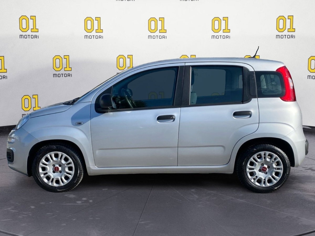 Fiat Panda Cross Cross 1.0 FireFly S&S Hybrid (2)