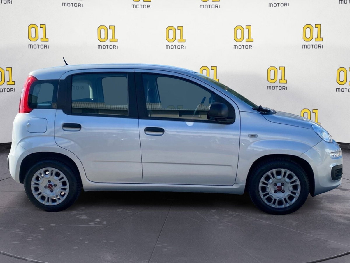 Fiat Panda Cross Cross 1.0 FireFly S&S Hybrid (6)