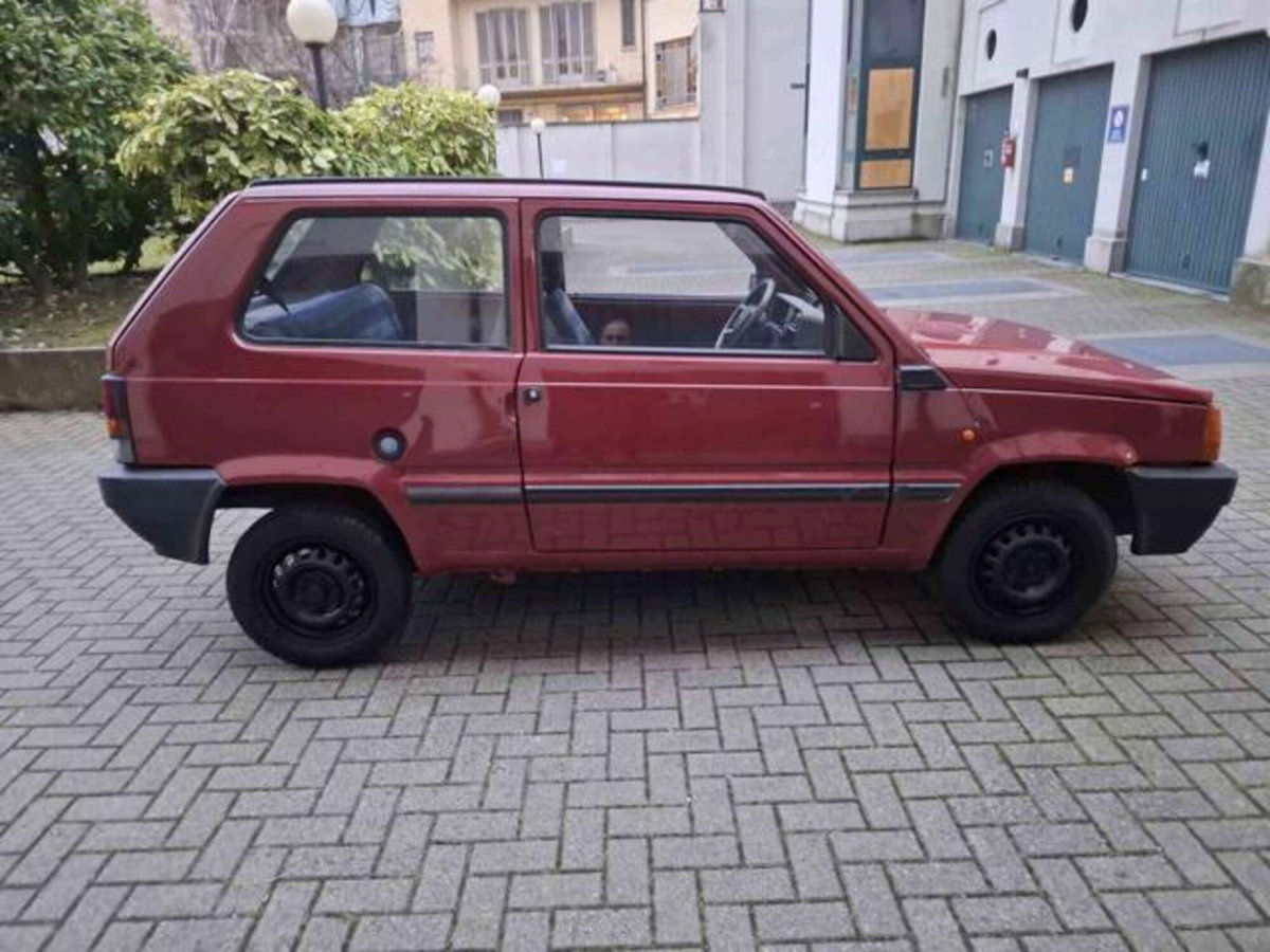 Fiat Panda 900 i.e. cat Young (2)